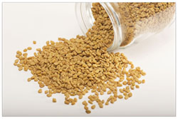 Fenugreek Seeds Manufacturer Supplier Wholesale Exporter Importer Buyer Trader Retailer in Jodhpur Rajasthan India